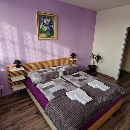 Byt S Jedinecnym Vyhledem Decin Exterior photo